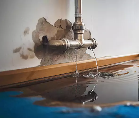 Professional Water Damage Restoration Experts in Warwick, RI — Fast, Reliable & Certified